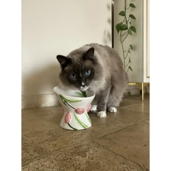 Mellow & Mod Cat Drinking Water Tall Bowl "Pink tulips" Hand Painted Colorful - Picture 6 of 10